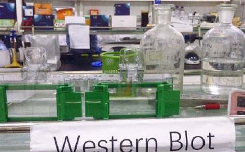 物理实验室工作计划