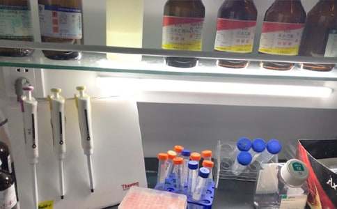 留校实验室社会实践心得体会