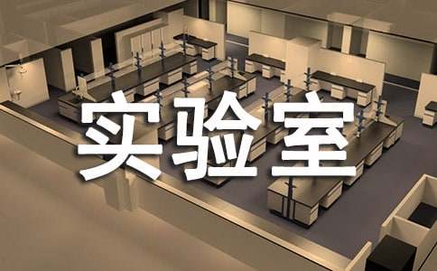 学校实验室工作总结