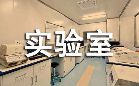 实验室年度工作总结