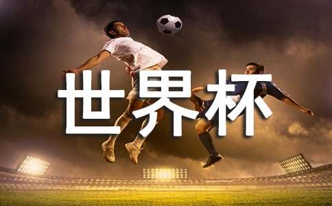 世界杯足球比赛观后感