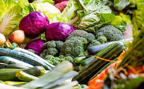 认识蔬菜教案范文汇编6篇