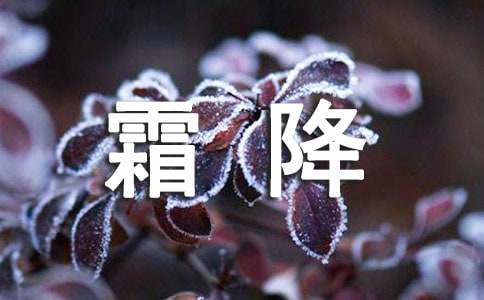 节气霜降日问候语