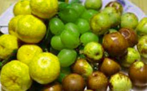 水果广告语15篇[实用]