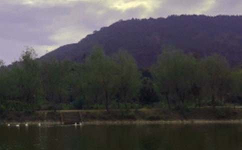 水库年度考核个人总结