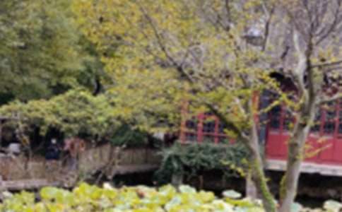 苏州园林导游词【推荐】