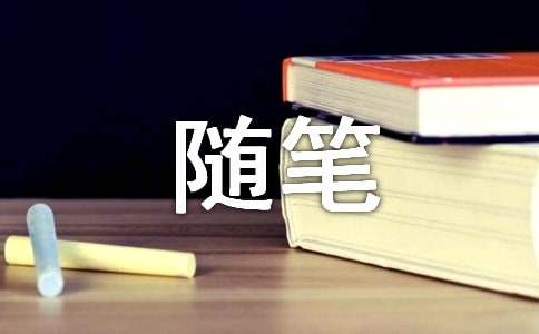 实用的随笔作文300字四篇