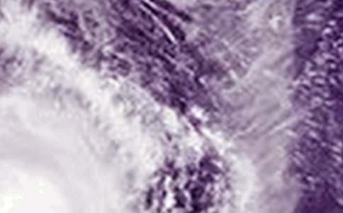 台风心得体会优秀（通用24篇）