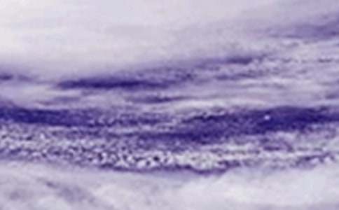 台风来了作文[热]