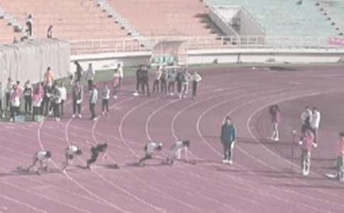 田径运动作文范文通用(5篇)