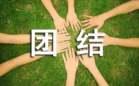 象征团结的花语和养殖方法