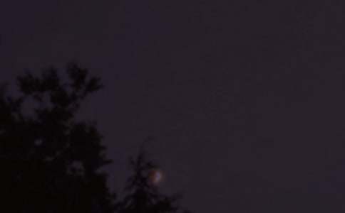 2022年有关晚安励志语录大汇总83句