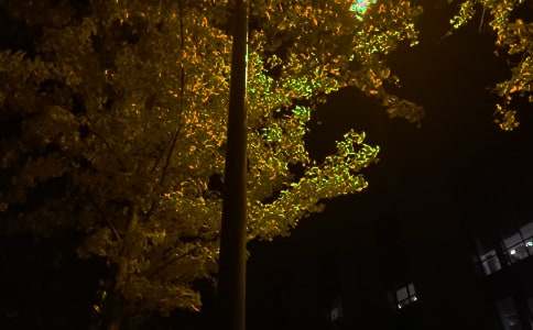 通用晚安励志语录26条