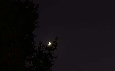 常用励志晚安语录125句精选