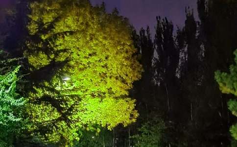 推荐唯美晚安祝福语汇总120句