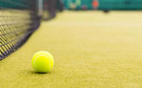 网球策划书最新