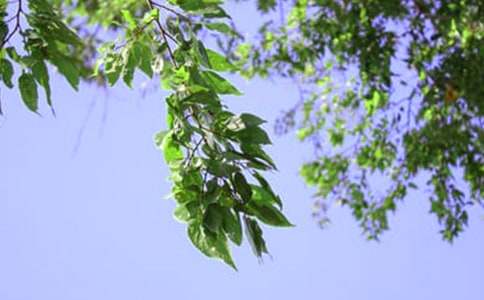 经典暖心午安祝福语（通用40句）