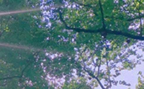 经典治愈午安感言汇总100句精选