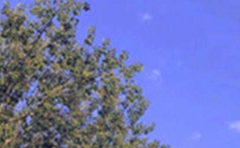 经典温馨午安祝福语70句精选