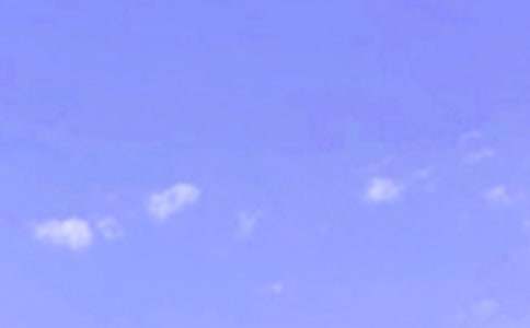 午安问候语短信84句