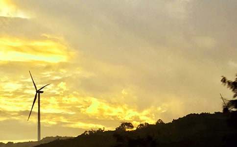 经典暖心午安祝福语40句