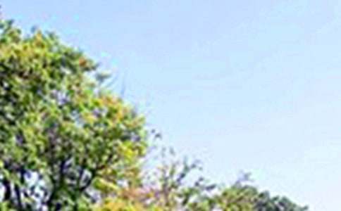 励志午安祝福语60句