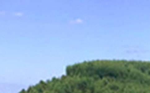 暖心午安祝福语（通用60句）