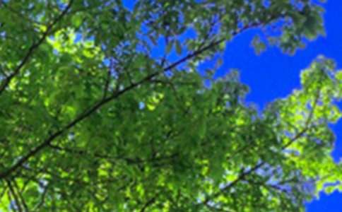 2026年治愈系午安QQ问候语锦集56条