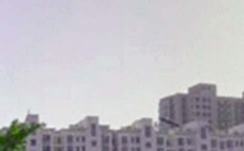 唯美的午安问候语短信摘录83条