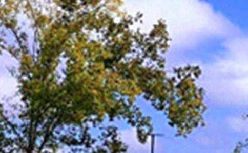 2026年温馨的午安问候语短信大合集53句