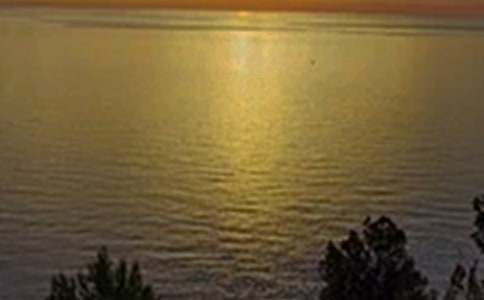 经典唯美午安感言大全（精选100句）