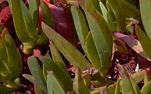 经典暖心午安祝福语大全(精选80句)