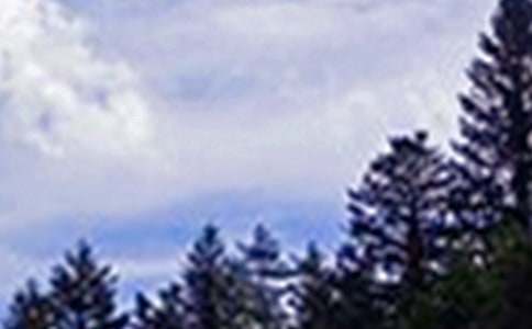 关于暖心午安祝福语80句