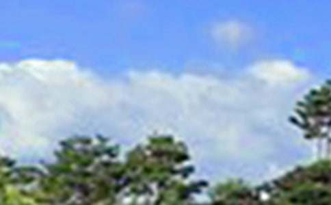 暖心午安祝福语40句