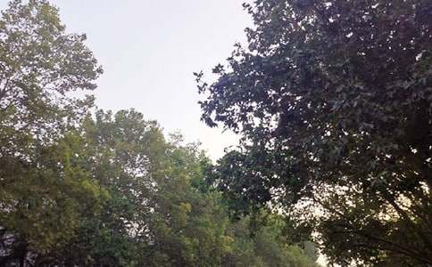 2026年唯美的午安微信问候语76句