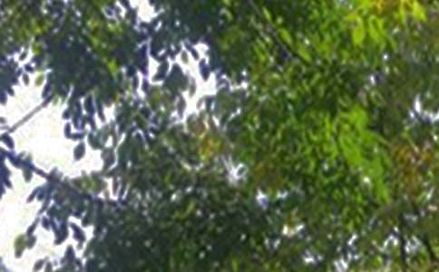 经典暖心午安祝福语大全（通用80句）