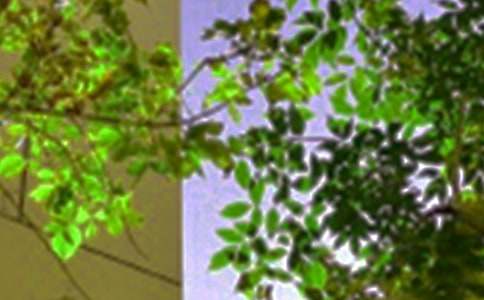 经典午安祝福语30句精选