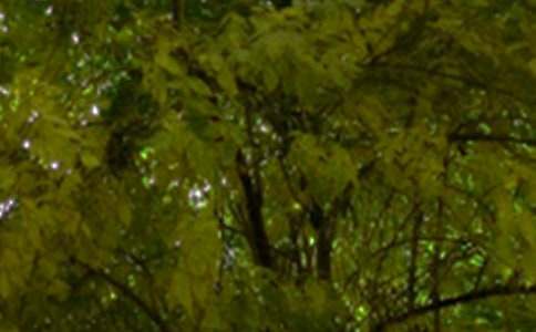 励志午安祝福语（精选60句）