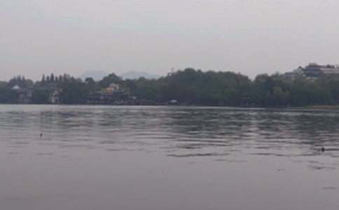 西湖龙井导游词