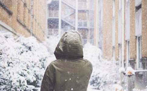 有关下雪了小学作文8篇