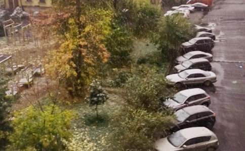 下雪了作文[汇总15篇]