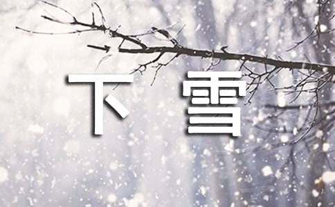 [自然作文]冬天下雪了话题作文