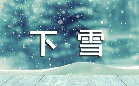 有关下雪的作文通用【15篇】