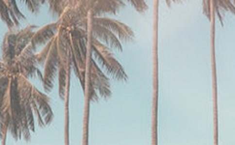 夏季节约用电倡议书(13篇)