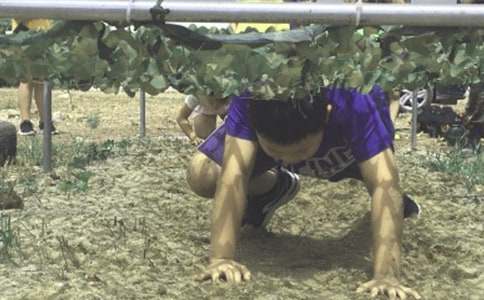 【精华】夏令营新生欢迎词