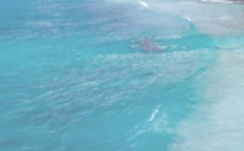 读《夏日历险》有感(9篇)