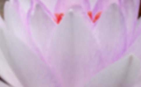 关于夏至的演讲稿