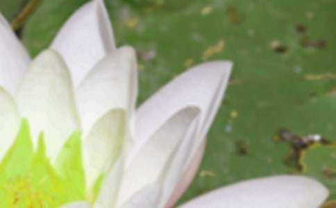 夏至节气教案（精选7篇）