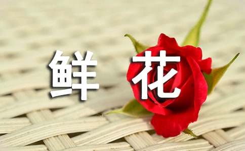鲜花的`花语