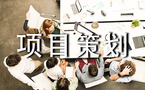 互联网项目策划书模板